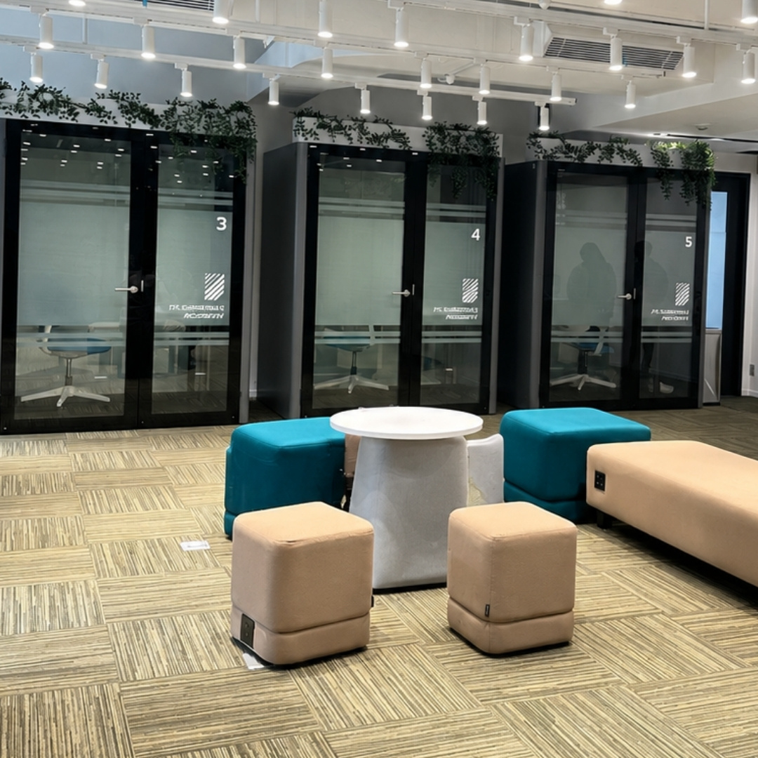Pods for video conference calls